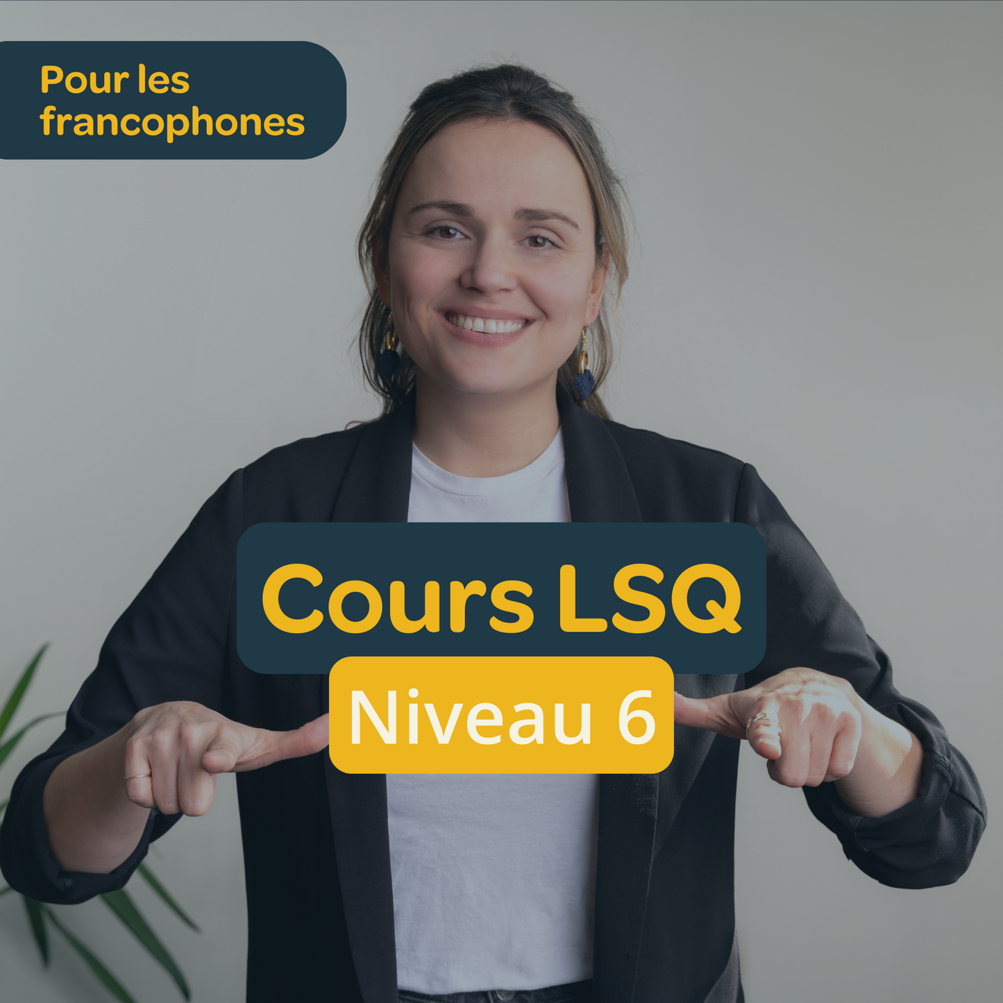 Niveau 6 *NOUVEAU*