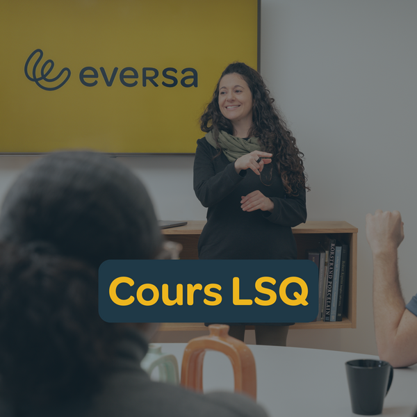 LSQ trainning - Private course